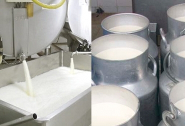 Piñón Partido Desmantelar La leche cruda se puede contaminar aún con baja temperatura - Portal Lechero